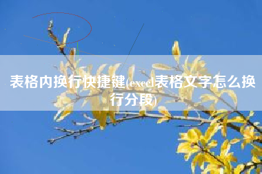 表格内换行快捷键(excel表格文字怎么换行分段)