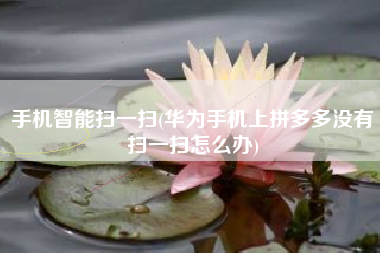 手机智能扫一扫(华为手机上拼多多没有扫一扫怎么办)