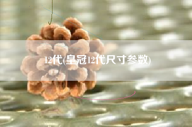 12代(皇冠12代尺寸参数)