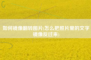 如何镜像翻转图片(怎么把照片里的文字镜像反过来)