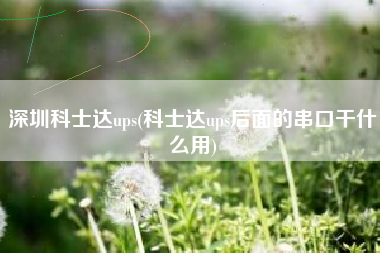 深圳科士达ups(科士达ups后面的串口干什么用)