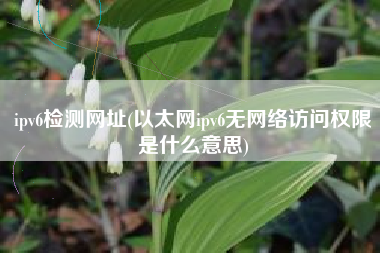 ipv6检测网址(以太网ipv6无网络访问权限是什么意思)
