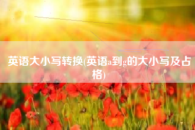 英语大小写转换(英语a到g的大小写及占格)