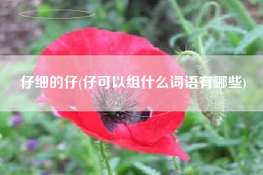 仔细的仔(仔可以组什么词语有哪些)