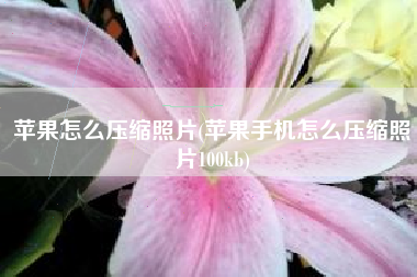 苹果怎么压缩照片(苹果手机怎么压缩照片100kb)
