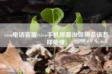 vivo电话客服(vivo手机屏幕出现横条该怎样处理)