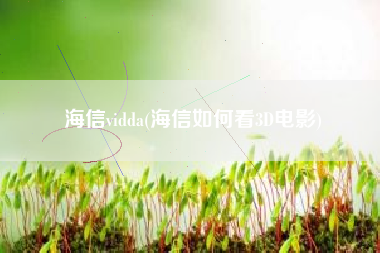 海信vidda(海信如何看3D电影)