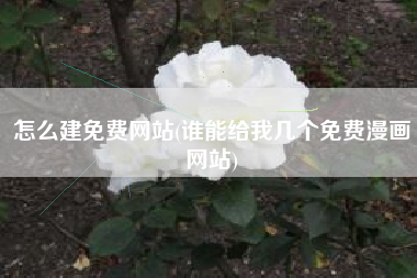 怎么建免费网站(谁能给我几个免费漫画网站)