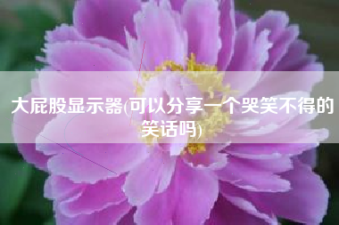 大屁股显示器(可以分享一个哭笑不得的笑话吗)