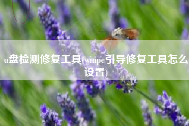 u盘检测修复工具(winpe引导修复工具怎么设置)