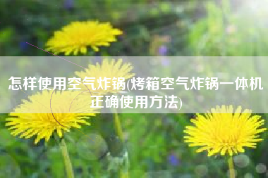 怎样使用空气炸锅(烤箱空气炸锅一体机正确使用方法)