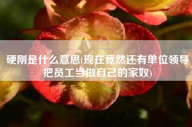 硬刚是什么意思(现在竟然还有单位领导把员工当做自己的家奴)
