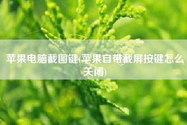苹果电脑截图键(苹果自带截屏按键怎么关闭)