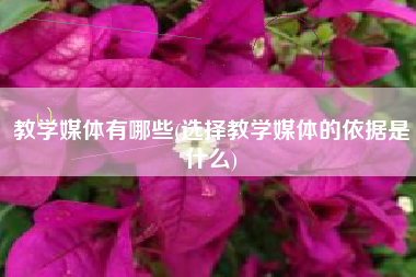 教学媒体有哪些(选择教学媒体的依据是什么)