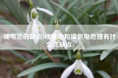 锂电池的缺点(锂电池和镍氢电池搜有什么优缺点)