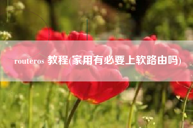 routeros 教程(家用有必要上软路由吗)