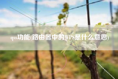 qss功能(路由器中的WPS是什么意思)