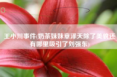 王小川事件(奶茶妹妹章泽天除了美貌还有哪里吸引了刘强东)