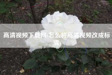 高清视频下载网(怎么将高清视频改成标清)