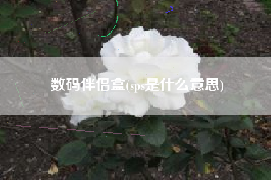 数码伴侣盒(sps是什么意思)