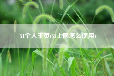 51个人主页(51上网怎么使用)