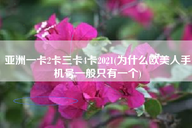 亚洲一卡2卡三卡4卡2021(为什么欧美人手机号一般只有一个)
