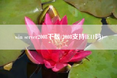 win server2008下载(2008支持IE11吗)