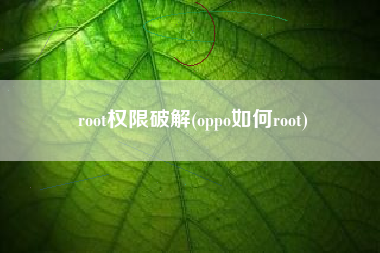 root权限破解(oppo如何root)