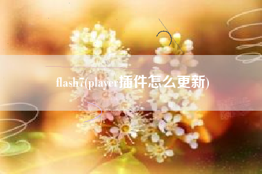 flash7(player插件怎么更新)