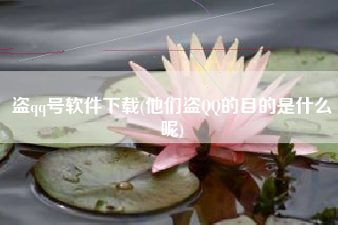 盗qq号软件下载(他们盗QQ的目的是什么呢)