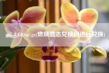 详细阅读:gcc-3.4.0.tar.gz(燃烧意志兑换码进行兑换) gcc-3.4.0.tar.gz(燃烧意志兑换码进行兑换)