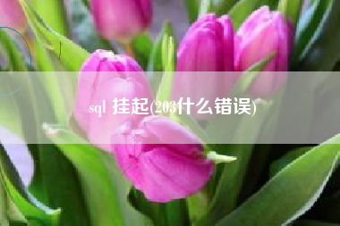 sql 挂起(203什么错误)