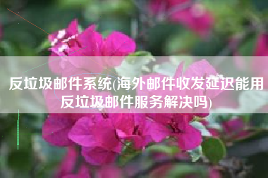 反垃圾邮件系统(海外邮件收发延迟能用反垃圾邮件服务解决吗)