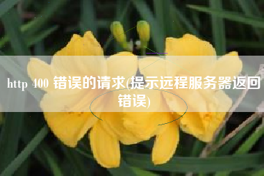 http 400 错误的请求(提示远程服务器返回错误)