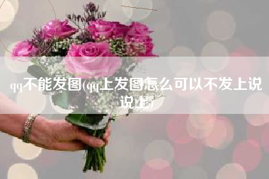 qq不能发图(qq上发图怎么可以不发上说说上)