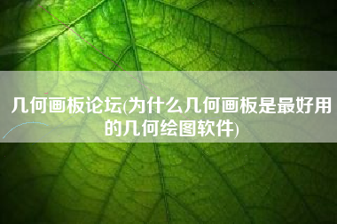 几何画板论坛(为什么几何画板是最好用的几何绘图软件)