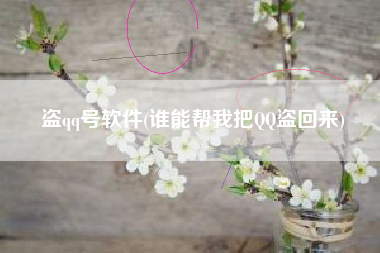 盗qq号软件(谁能帮我把QQ盗回来)