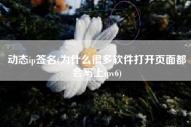 动态ip签名(为什么很多软件打开页面都会写上ipv6)