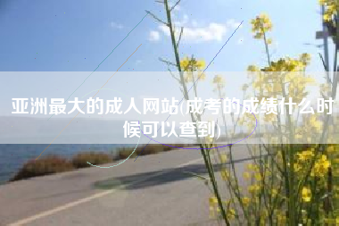 亚洲最大的成人网站(成考的成绩什么时候可以查到)