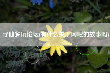 详细阅读:寻仙多玩论坛(有什么关于网吧的故事吗) 寻仙多玩论坛(有什么关于网吧的故事吗)