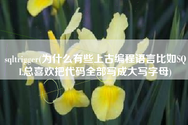 sqltrigger(为什么有些上古编程语言比如SQL总喜欢把代码全部写成大写字母)