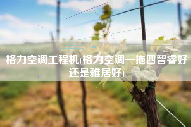 格力空调工程机(格力空调一拖四智睿好还是雅居好)