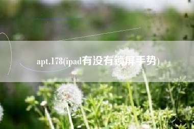 apt.178(ipad有没有锁屏手势)