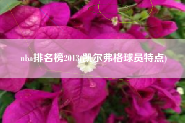 nba排名榜2013(凯尔弗格球员特点)
