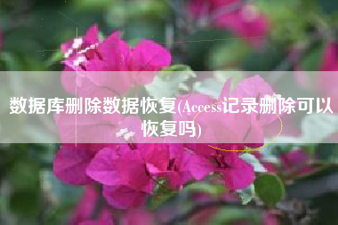数据库删除数据恢复(Access记录删除可以恢复吗)