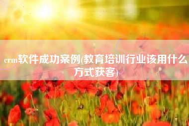 crm软件成功案例(教育培训行业该用什么方式获客)