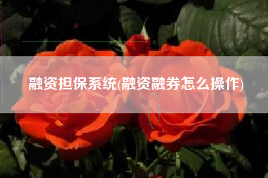 融资担保系统(融资融券怎么操作)