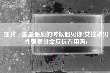 在我一生最猥琐的时候遇见你(女性被男性强暴拼命反抗有用吗)