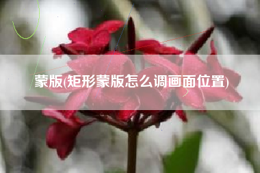 蒙版(矩形蒙版怎么调画面位置)