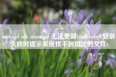 android sdk manager 无法更新(androidsdk安装失败时提示系统找不到指定的文件)
